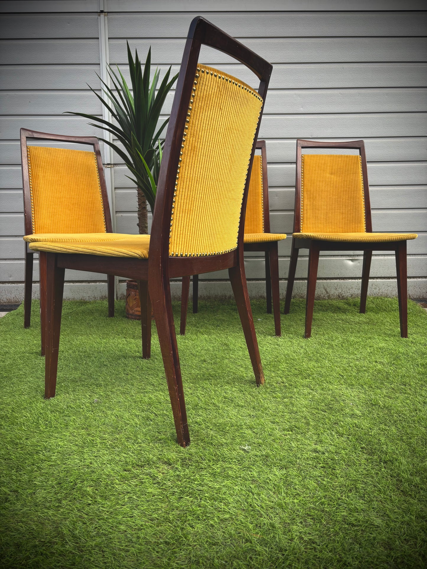 Chaise moutarde