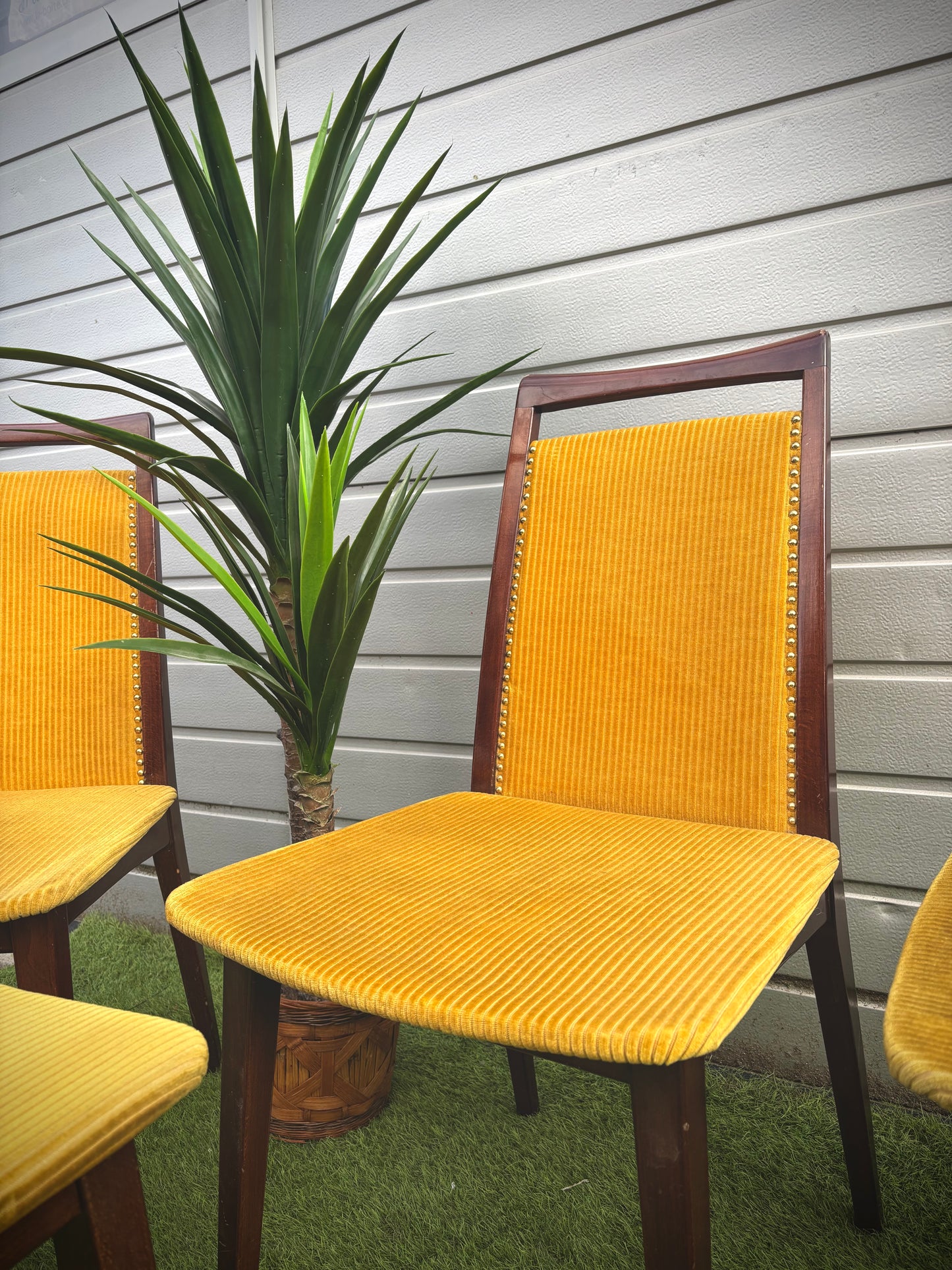 Chaise moutarde