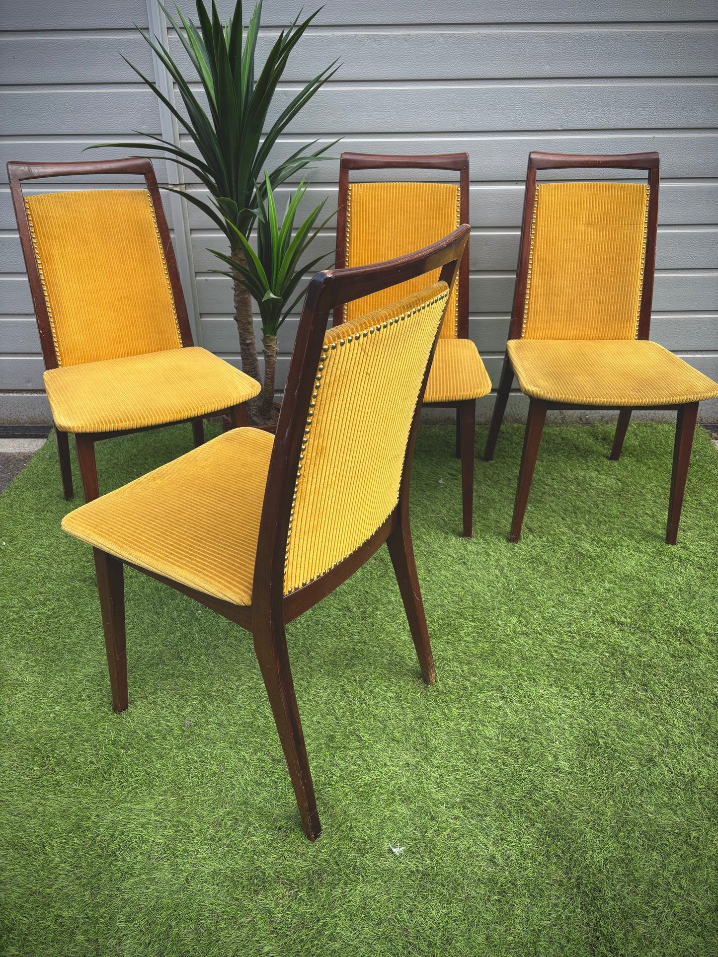 Chaise moutarde