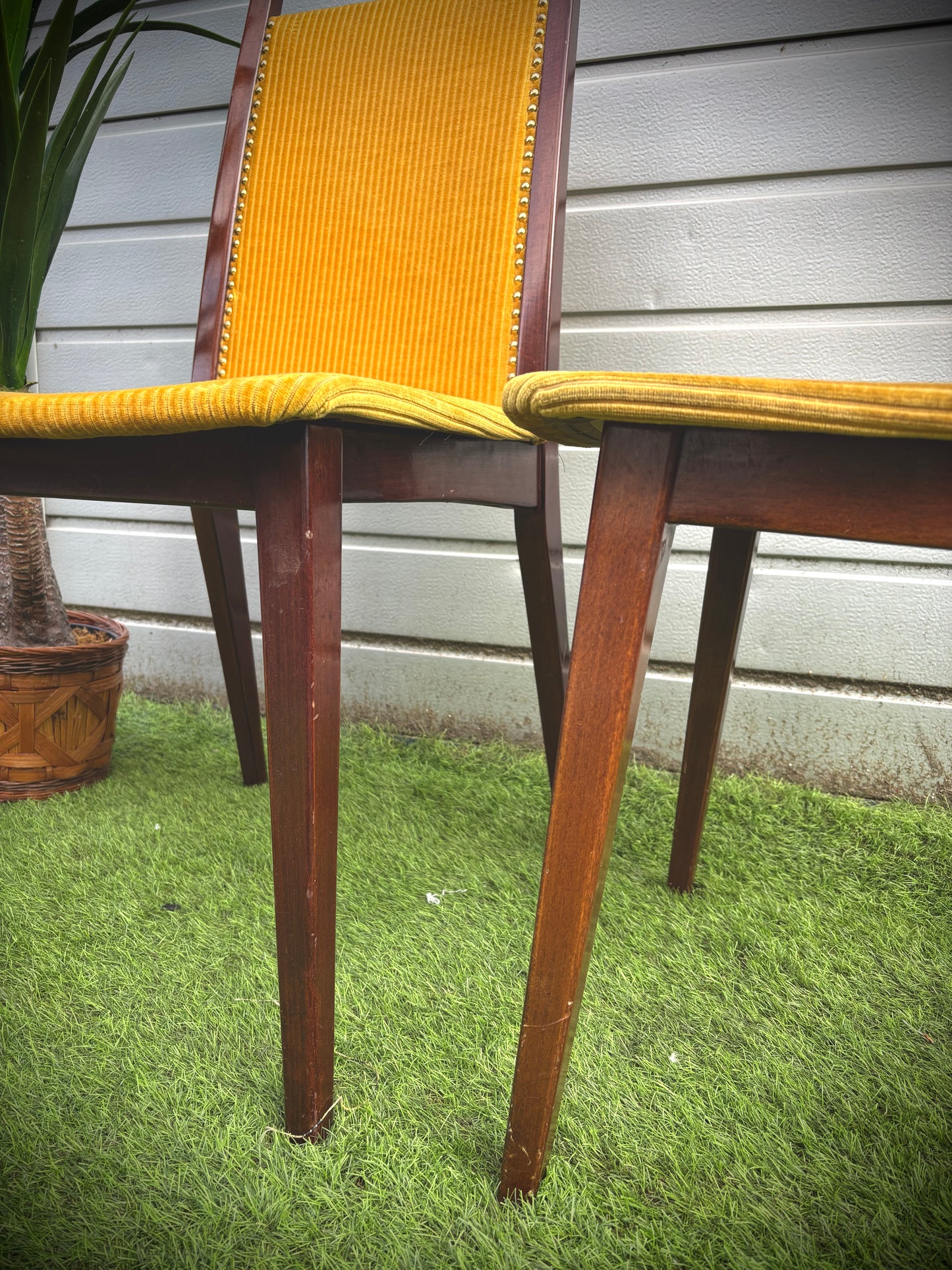 Chaise moutarde