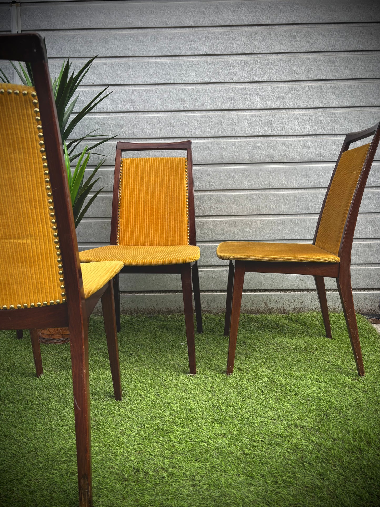 Chaise moutarde